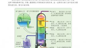 苏教版高一化学2电子课本第一单元 化石燃料与有机化合物(第62页)