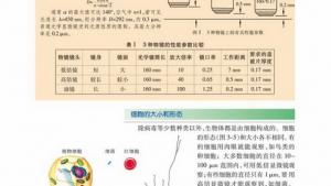苏教版高一生物必修1（分子与细胞）电子课本细胞的大小和形态(第32页)