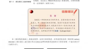 苏教版高三化学-有机化学基础电子课本第二单元 氨基酸 蛋白(第106页)