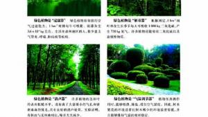 苏教版七年级生物上册(旧版)电子课本-苏教版初一生物上册(旧版)电子课本第二节 绿色植物与生物圈的物质循环(第107页)