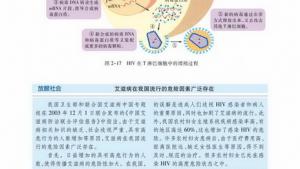 苏教版高二生物必修3（稳定与环境）电子课本免疫失调引起的疾病(第22页)