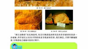 苏教版八年级生物下册(旧版)电子课本-苏教版初二生物下册(旧版)电子课本第三节 生物进化的学说(第76页)