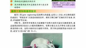 苏教版八年级生物下册(旧版)电子课本-苏教版初二生物下册(旧版)电子课本第一节 现代生物技术的应用(第11页)