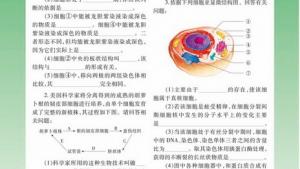 苏教版高一生物必修1（分子与细胞）电子课本我国的癌症防治(第101页)