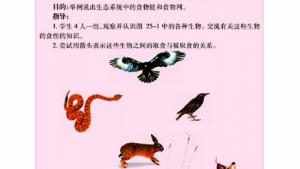 苏教版八年级生物下册(旧版)电子课本-苏教版初二生物下册(旧版)电子课本第一节 生态系统的组成(第87页)