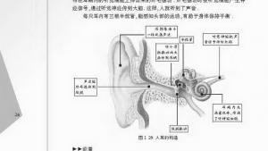 苏教版八年级物理上册电子课本,苏教版初二物理上册电子课本综合实践活动(第26页)