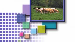 苏教版高三化学-有机化学基础电子课本专题5 生命活动的物质基础(第89页)