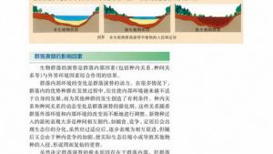 苏教版高二生物必修3（稳定与环境）电子课本群落演替的影响因素(第69页)
