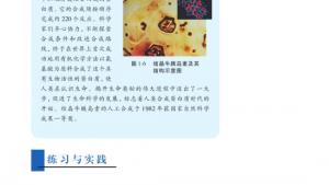 苏教版高三化学-有机化学基础电子课本第一单元 有机化学的发展与应用(第5页)