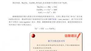 苏教版高一化学1电子课本第二单元 钠、镁及其化合物(第54页)
