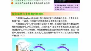 苏教版七年级生物上册(旧版)电子课本-苏教版初一生物上册(旧版)电子课本第二节 绿色植物与生物圈的物质循环(第103页)