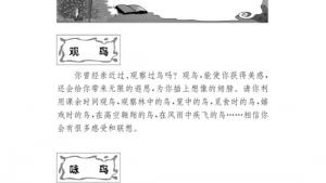 苏教版八年级语文下册电子课本,苏教版初二语文下册电子课本口语交际 清楚连贯地表达思想观点，不离话题(第28页)