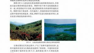 苏教版高一生物必修2（遗传与进化）电子课本第一节 生物进化理论的发展(第95页)