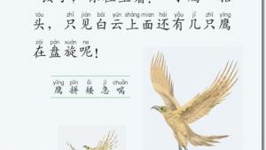 苏教版二年级语文上册电子课本8 小鹰学飞(第57页)