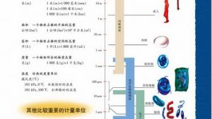 苏教版高一生物必修2（遗传与进化）电子课本生物进化的基本历程生物进化与生物多样性的形成(第117页)