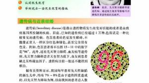 苏教版八年级生物上册(旧版)电子课本-苏教版初二生物上册(旧版)电子课本第四节 遗传并和优生优育(第40页)