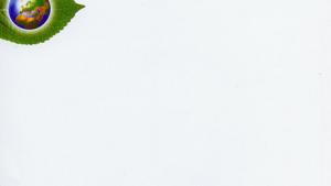 苏教版高一生物必修2（遗传与进化）电子课本生物进化的基本历程生物进化与生物多样性的形成(第122页)