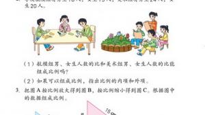 苏教版六年级数学下册(旧版)电子课本3 比例(第46页)
