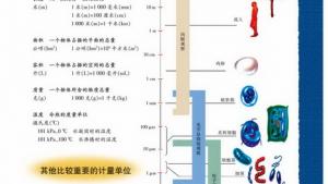 苏教版高二生物必修3（稳定与环境）电子课本人类可持续发展(第116页)