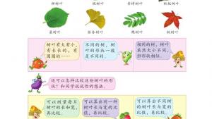 苏教版六年级数学上册电子课本树叶中的比(第66页)