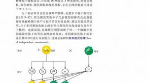 苏教版高一生物必修2（遗传与进化）电子课本第二节 基因的自由组合定律(第37页)