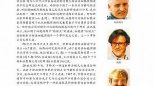 苏教版高一生物必修1（分子与细胞）电子课本细胞周期与有丝分裂(第85页)