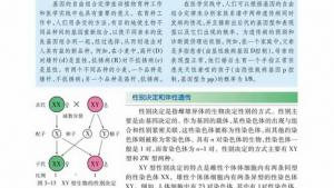 苏教版高一生物必修2（遗传与进化）电子课本性别决定和伴性遗传(第38页)