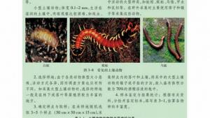 苏教版高二生物必修3（稳定与环境）电子课本第二节 生物群落的构成(第61页)