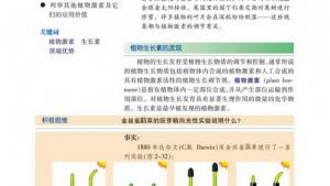 苏教版高二生物必修3（稳定与环境）电子课本第四节 植物生命活动的调节(第42页)