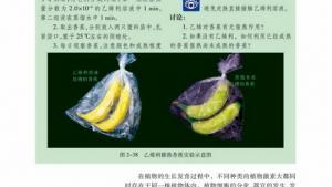苏教版高二生物必修3（稳定与环境）电子课本其他植物激素(第46页)
