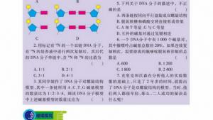 苏教版高一生物必修2（遗传与进化）电子课本DNA的复制(第65页)