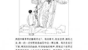 苏教版八年级语文上册电子课本,苏教版初二语文上册电子课本二十三 幽径悲剧(第185页)