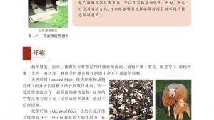 苏教版高二化学与生活电子课本第三单元 高分子材料和复合材料(第104页)