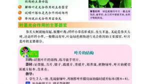 苏教版七年级生物上册(旧版)电子课本-苏教版初一生物上册(旧版)电子课本第二节 植物光合作用的场所(第82页)