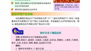 苏教版七年级生物上册(旧版)电子课本-苏教版初一生物上册(旧版)电子课本第三节 植物光合作用的实质(第86页)