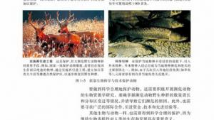 苏教版高二生物必修3（稳定与环境）电子课本生物科学与社会：科学合理地保护动物(第4页)