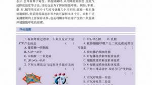 苏教版高一生物必修1（分子与细胞）电子课本细胞呼吸原理的应用(第75页)