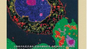 苏教版高一生物必修1（分子与细胞）电子课本第三章 细胞的结构和功能(第28页)