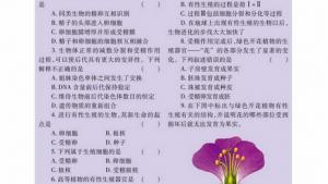 苏教版高一生物必修2（遗传与进化）电子课本有性生殖(第22页)