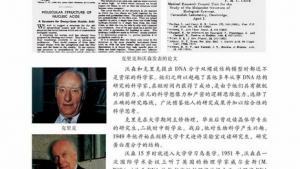 苏教版高一生物必修2（遗传与进化）电子课本DNA的复制(第66页)