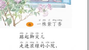 苏教版二年级语文上册电子课本6 一株紫丁香(第42页)