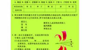 苏教版八年级生物上册(旧版)电子课本-苏教版初二生物上册(旧版)电子课本第二节 生物的无性生殖(第12页)