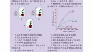苏教版高一生物必修1（分子与细胞）电子课本影响光合作用的环境因素(第68页)