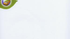 苏教版高一生物必修1（分子与细胞）电子课本我国的癌症防治(第110页)