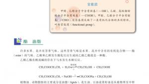 苏教版高一化学2电子课本第二单元 食品中的有机化合物(第72页)