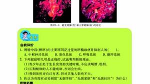 苏教版八年级生物上册(旧版)电子课本-苏教版初二生物上册(旧版)电子课本第一节 远离烟酒(第87页)