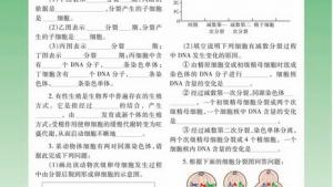 苏教版高一生物必修2（遗传与进化）电子课本有性生殖(第25页)