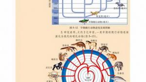 苏教版高一生物必修2（遗传与进化）电子课本生物进化的基本历程生物进化与生物多样性的形成(第106页)