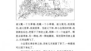 苏教版九年级语文下册电子课本-苏教版初三语文下册电子课本十二 呼兰河传（节选）(第59页)