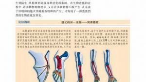 苏教版高一生物必修2（遗传与进化）电子课本生物进化的基本历程生物进化与生物多样性的形成(第105页)